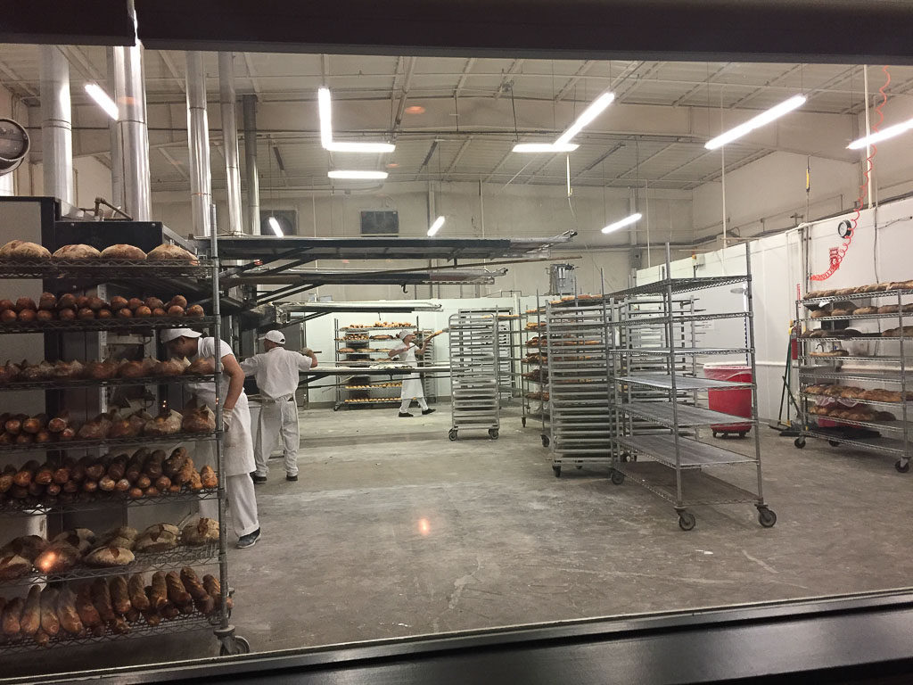 Freshly made bread being made in their bakery
